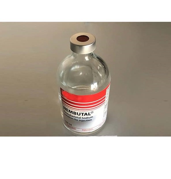 buy nembutal liquid 100mg online, nembutal liquid for sale, nembutal liquid lethal dose, buy nembutal liquid, buy nembutal liquid online, where to buy nembutal liquid, order nembutal liquid online, buy nembutal injection online, buy nembutal injection in usa,